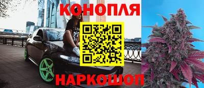 Альфа ПВП Пенза