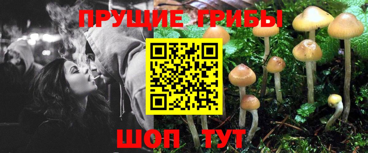 Галлюциногенные грибы Psilocybe  Галлюциногенные грибы мухоморы  Тольятти  Вход с VPN 