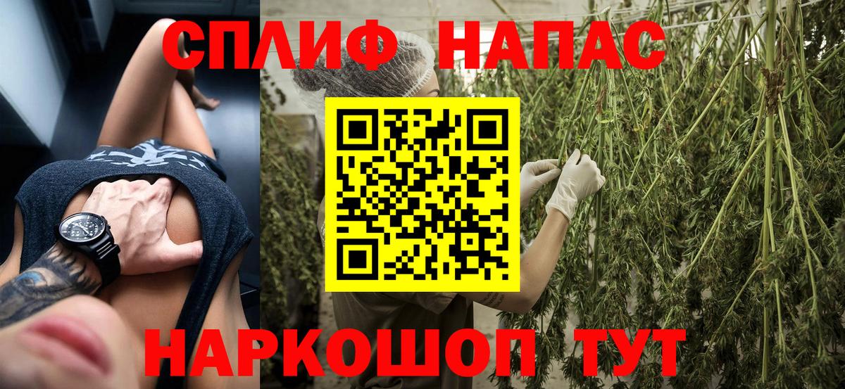 Тольятти  Конопля тримм  Канабис Amnesia  Бошки марихуана THC 21%  Вход с VPN 